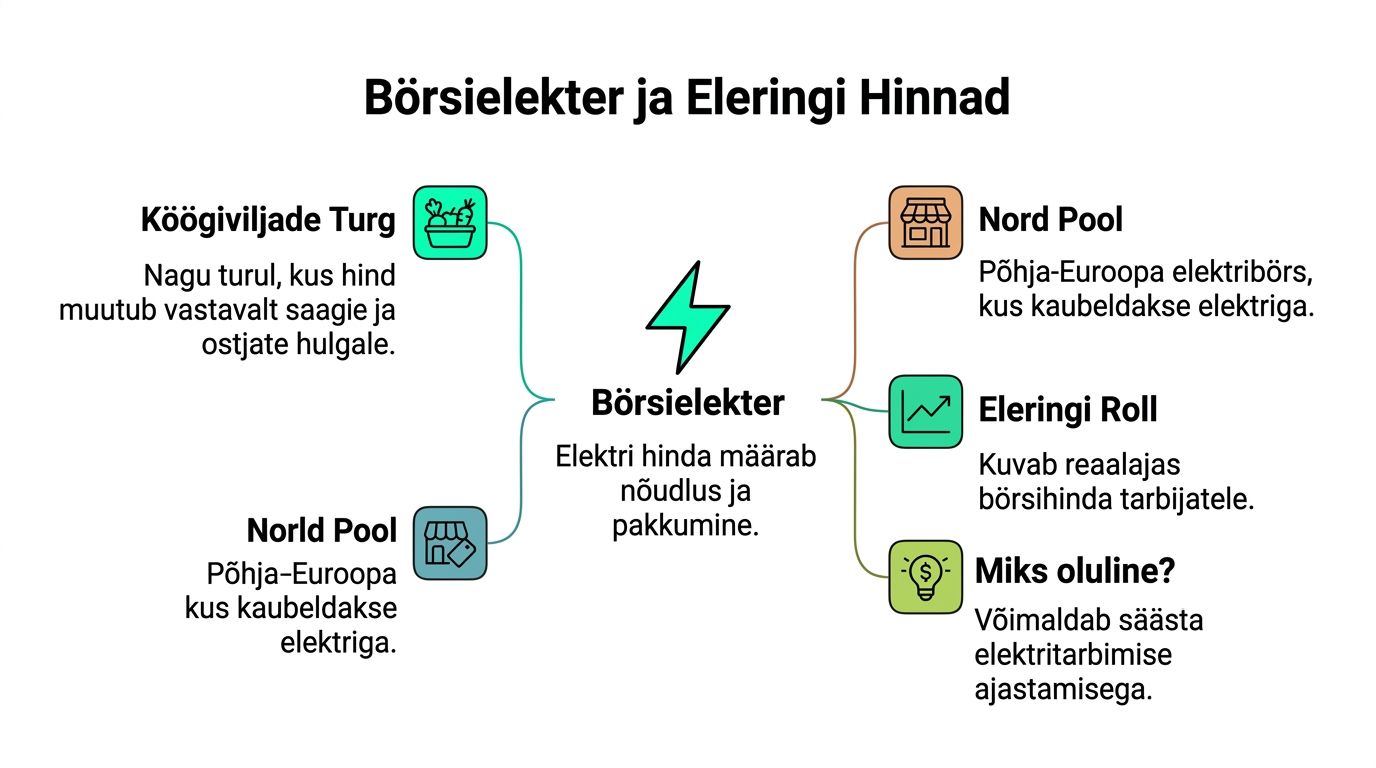 Skeem selgitab börsielektri hinda, selle kujunemist ja Eleringi rolli elektrienergia turu läbipaistvuse tagamisel.