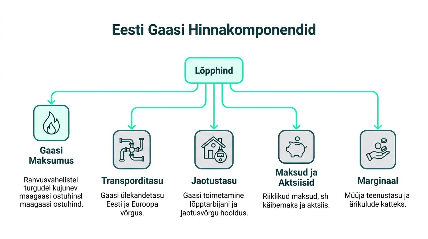 Skeem, mis selgitab Eesti gaasi lõpphinda moodustavaid erinevaid kulusid ja makse tarbijale.