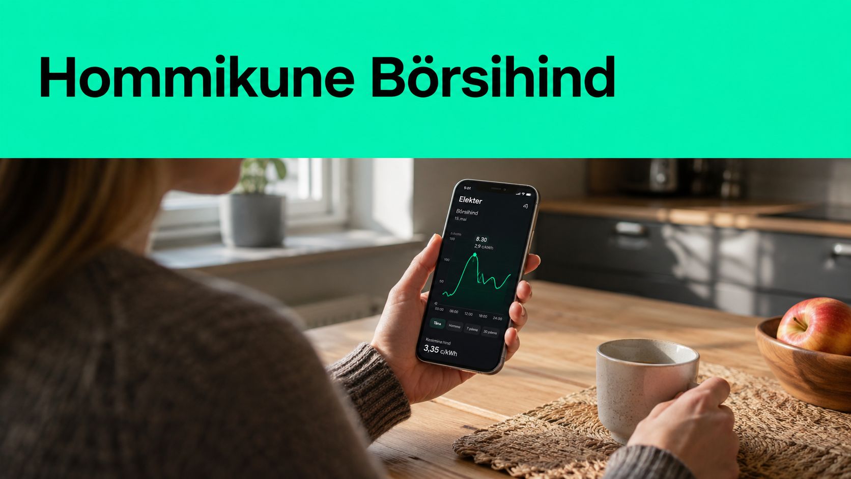 Screenshot from https://elering.ee/elektri-hind